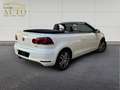 Volkswagen Golf VI Cabriolet 1.2 TSI - 105ch CABRIOLET Wit - thumbnail 40