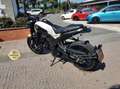 Benelli Leoncino Leoncino 250 RATE AUTO MOTO SCOOTER Nero - thumbnail 4