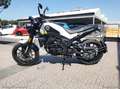 Benelli Leoncino Leoncino 250 RATE AUTO MOTO SCOOTER Negro - thumbnail 10