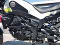 Benelli Leoncino Leoncino 250 RATE AUTO MOTO SCOOTER Nero - thumbnail 12
