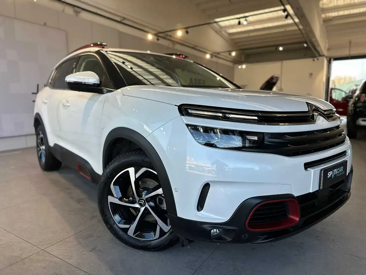 Citroen C5 Aircross 1ª s. BlueHDi 130 S&S Feel Pack Blanc - 2