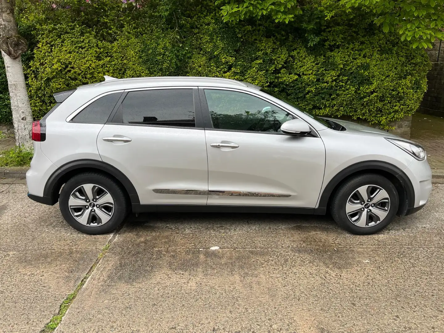 Kia Niro 1.6 GDi PHEV Sense DCT (EU6d-TEMP) - 1