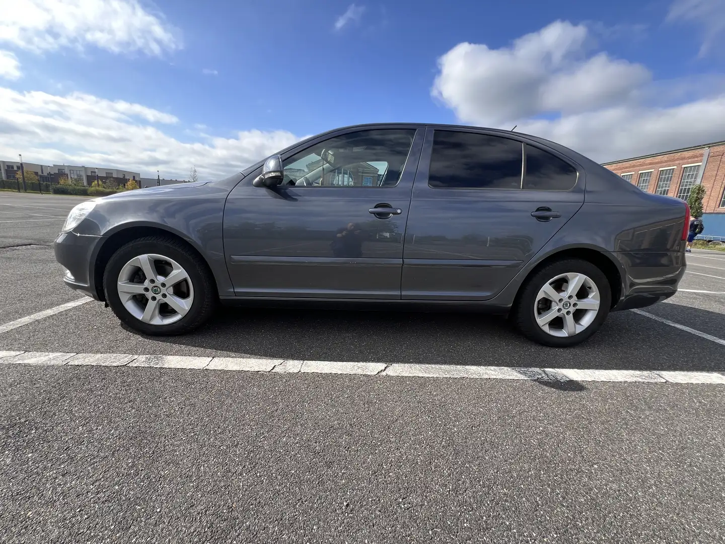 Skoda Octavia Family Grau - 2