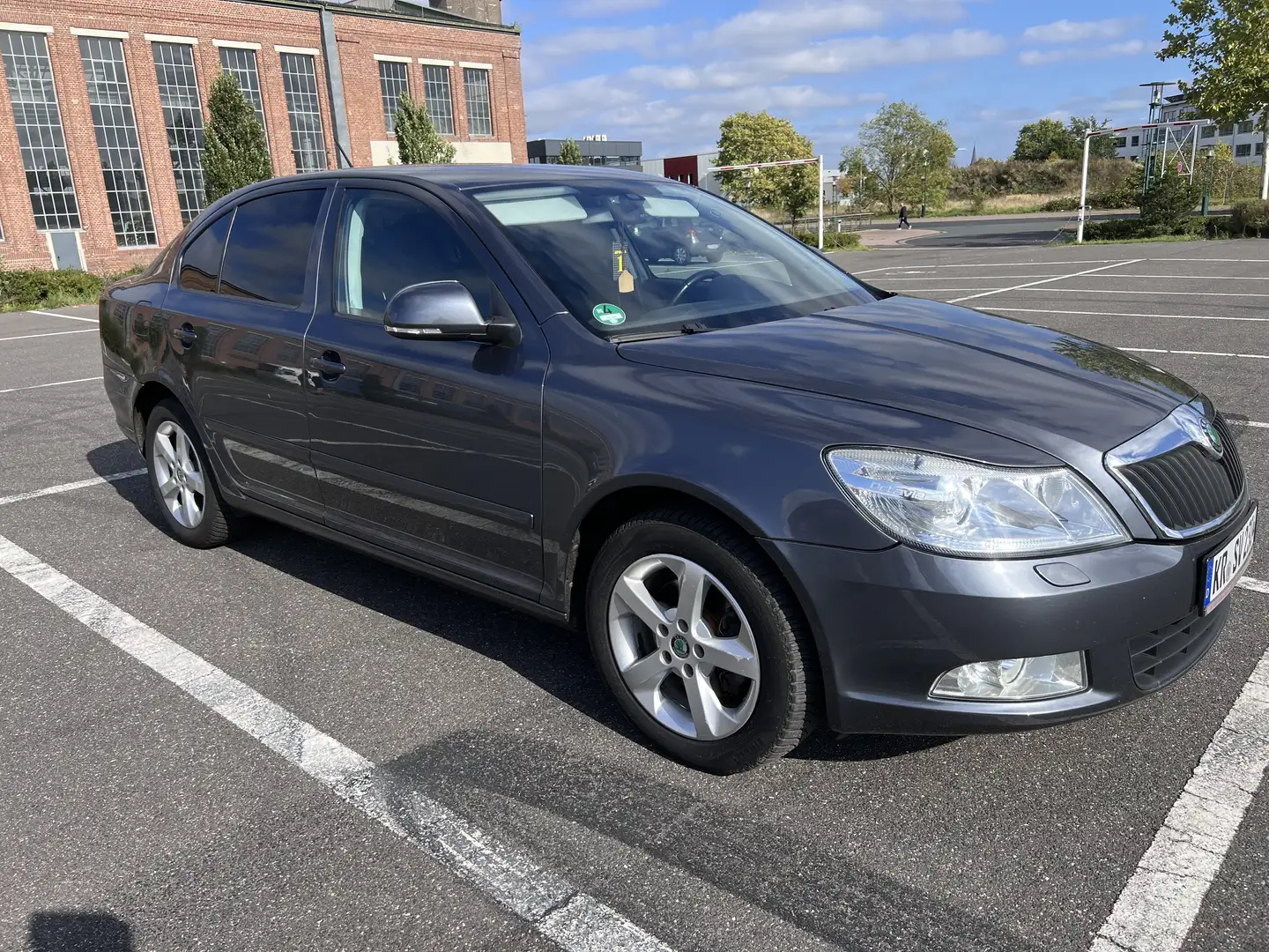 Skoda Octavia Family Grau - 1