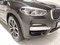 BMW X3 xDrive30d xLine Head-Up HiFi LED RFK PDC Grau - thumbnail 10