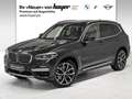 BMW X3 xDrive30d xLine Head-Up HiFi LED RFK PDC Grau - thumbnail 1