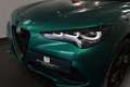 Alfa Romeo Stelvio 2.0 16V 280 AT8 Q4 Tributo Italiano MY24 Schwarz - thumbnail 8