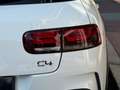 Citroen C4 Cactus 1.6 BLUEHDI 100 FEEL BUSINESS 2 PL Blanco - thumbnail 18