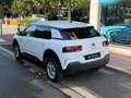 Citroen C4 Cactus 1.6 BLUEHDI 100 FEEL BUSINESS 2 PL Blanco - thumbnail 20