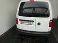 Volkswagen Caddy Kastenwagen TDI Weiß - thumbnail 5