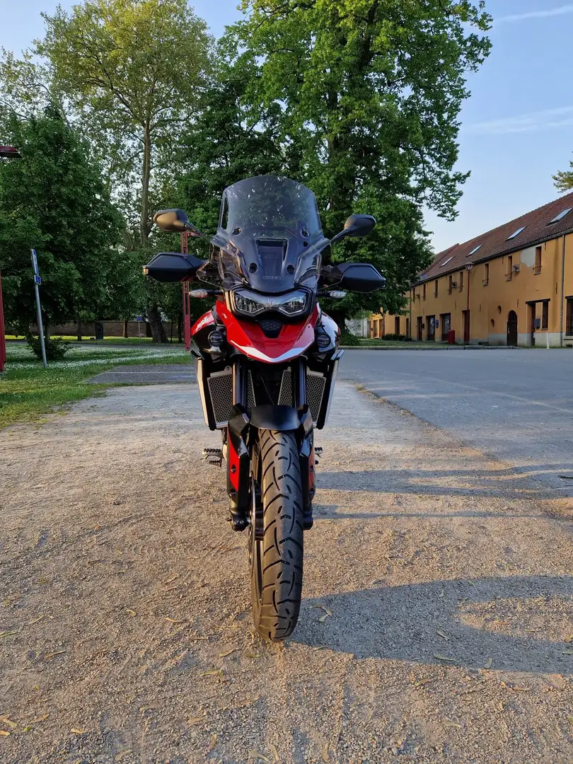 Triumph Tiger 900 GT PRO Rouge - 2