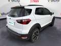 Ford EcoSport 1.0 EcoBoost 125 CV Start&Stop Active Bianco - thumbnail 2