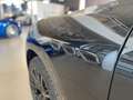 Maserati Grecale 2.0 Modena MY24 360 PrivacyPano Sportpaket Noir - thumbnail 9