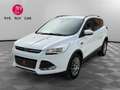 Ford Kuga Titanium - 2.0 TDCi - 140 4x2 - Camera/Attelage/Distribution OK Weiß - thumbnail 1
