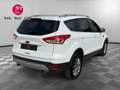 Ford Kuga Titanium - 2.0 TDCi - 140 4x2 - Camera/Attelage/Distribution OK Weiß - thumbnail 4