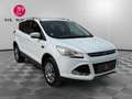 Ford Kuga Titanium - 2.0 TDCi - 140 4x2 - Camera/Attelage/Distribution OK Weiß - thumbnail 3