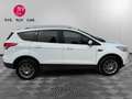 Ford Kuga Titanium - 2.0 TDCi - 140 4x2 - Camera/Attelage/Distribution OK Weiß - thumbnail 5