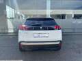Peugeot 3008 Allure Blanc - thumbnail 7
