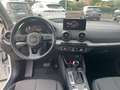 Audi Q2 Q2 30 2.0 tdi advanced Plus s-tronic Blanc - thumbnail 8
