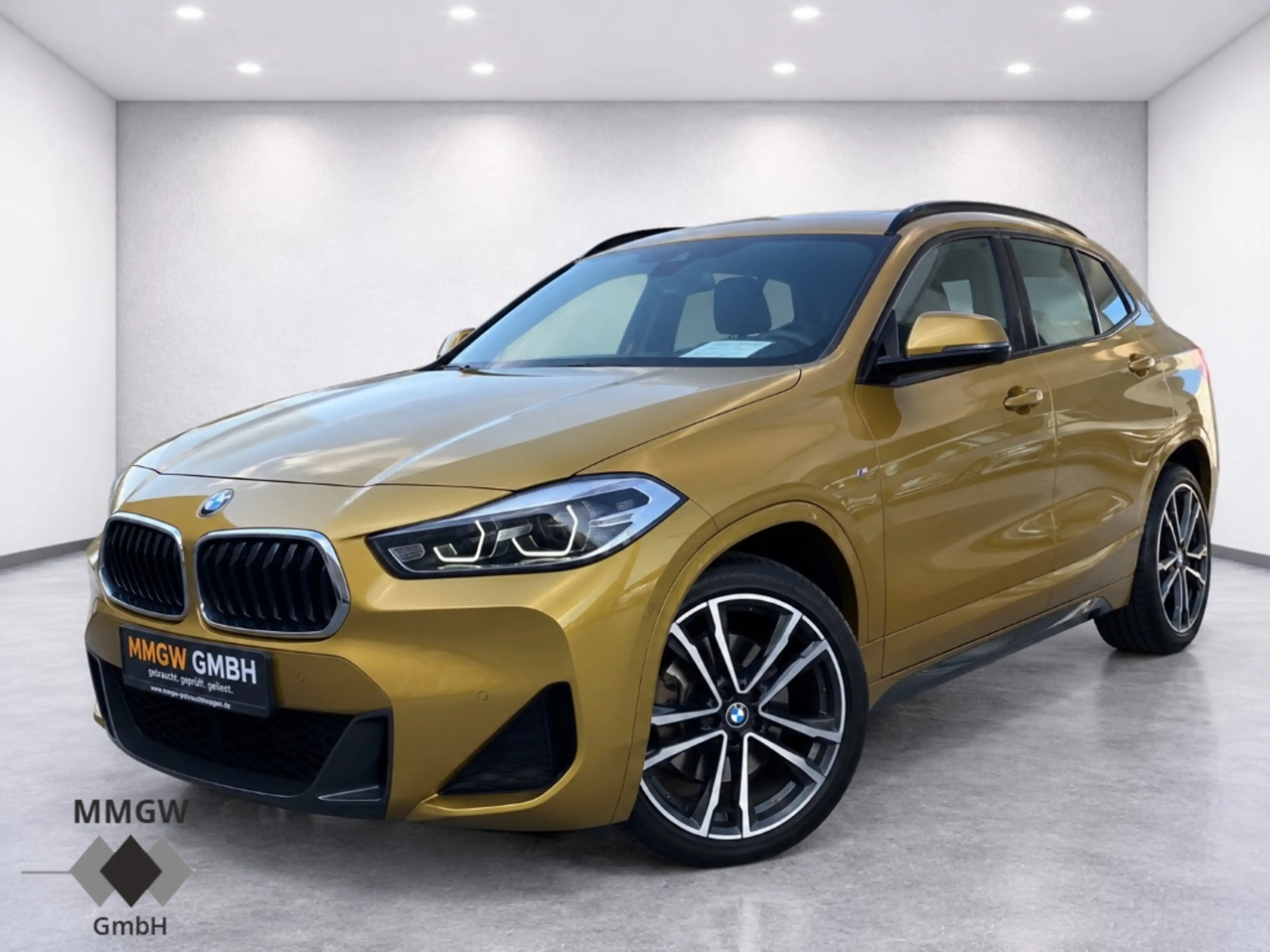 BMW X2 xDrive 18 d M Sport Park-Assistent/Sportpaket/Navi