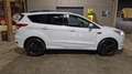Ford Kuga 1.5 Titanium Styling Pack 120PK | Rijklaarprijs | Wit - thumbnail 6