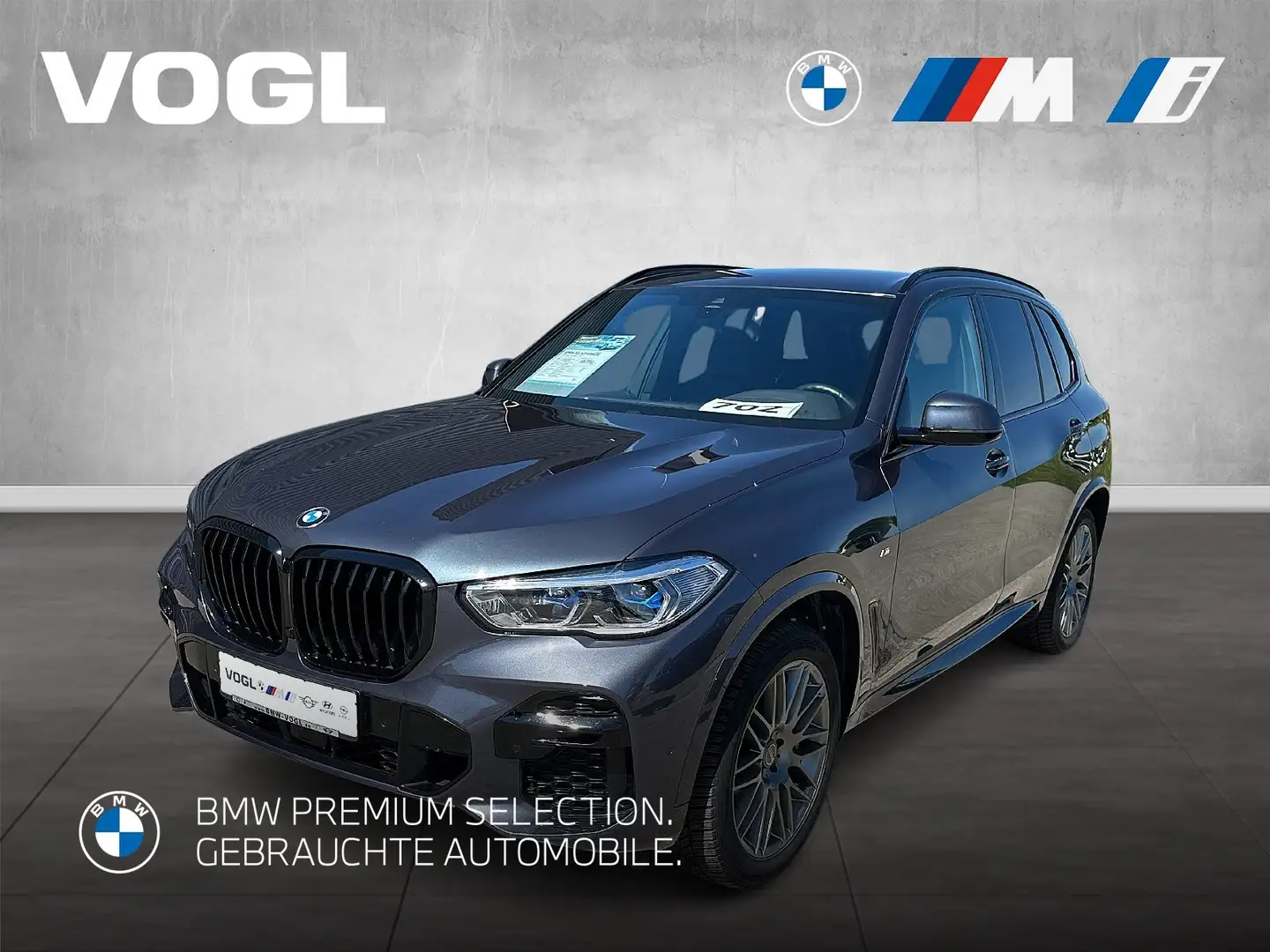 BMW X5 xDrive40d Head-Up HiFi AHK SHZ Grau - 1