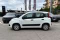 Fiat Panda 1.2 Easy Blanc - thumbnail 4