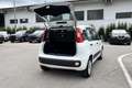 Fiat Panda 1.2 Easy Blanc - thumbnail 7
