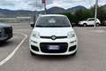 Fiat Panda 1.2 Easy Blanc - thumbnail 2