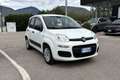 Fiat Panda 1.2 Easy Blanc - thumbnail 1