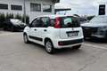 Fiat Panda 1.2 Easy Blanc - thumbnail 5