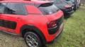 Citroen C4 Cactus PureTech 82 Shine Edition - thumbnail 6