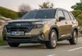 Subaru Forester 2.0i Hybrid Executive Plus CVT Szary - thumbnail 6