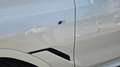BMW X6 xDrive 30dA Blanco - thumbnail 25