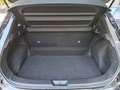 Nissan Qashqai Qashqai 1.3 mhev Acenta 2wd 140cv Nero - thumbnail 15