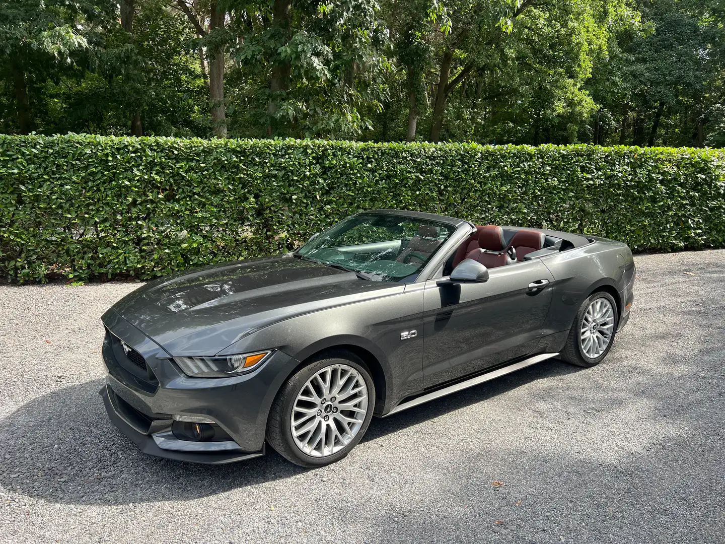 Ford Mustang Mustang Cabrio 5.0 Ti-VCT V8 GT Grau - 2