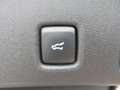 Ford Kuga Plug-In Hybrid ST-Line X ,Anhängerkupplung Blau - thumbnail 23