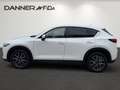 Mazda CX-5 Revolution Top AWD *SOFORT VERFÜGBAR* Weiß - thumbnail 6