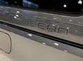 Volkswagen Ocean eHybrid 4Motion / 245pk / Trekhaak / Gris - thumbnail 24