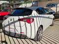 Alfa Romeo Giulietta Giulietta 1.6 JTD-M 120CV Distinctive Blanc - thumbnail 7