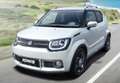 Suzuki Ignis 1.2 Mild Hybrid GLX Rojo - thumbnail 3