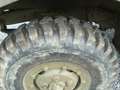 Chrysler Sonstige Chrysler LKW Dodge LLC Grün - thumbnail 4