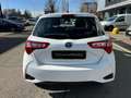 Toyota Yaris 1.5 Hybrid E-CVT Active (con impianto GPL) - thumbnail 7