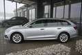 Skoda Octavia Combi 1,5 iV Style DSG ACC, AHK schwenkbar, DCC... Silber - thumbnail 2