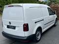 Volkswagen Caddy Maxi Kasten Navi Xenon DSG RFK ACC Blanco - thumbnail 6
