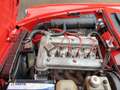 Alfa Romeo Spider 2000 Spider Rot - thumbnail 13