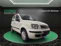 Fiat Panda 1.2 8V Natural Power KLIMA~SERVO~el. FH~ZV~DACHREH Weiß - thumbnail 4
