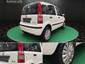 Fiat Panda 1.2 8V Natural Power KLIMA~SERVO~el. FH~ZV~DACHREH Weiß - thumbnail 6
