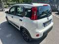 Fiat Panda 1.0 FireFly S&S Hybrid City Life Bianco - thumbnail 4