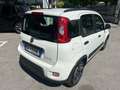Fiat Panda 1.0 FireFly S&S Hybrid City Life Bianco - thumbnail 5